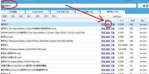 p2p种子搜索神器望远镜图标 第3张图