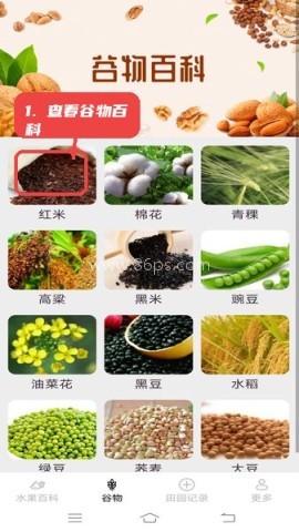 掌上果果多 第2张图