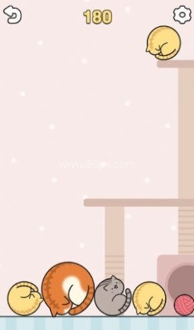 合成大猫咪 合成大猫咪