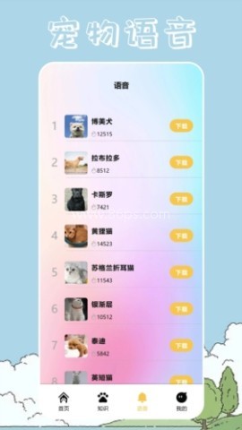 桌面宠物壁纸 第3张图