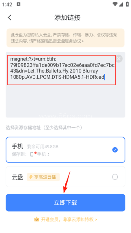 迅雷铂金版 第6张图