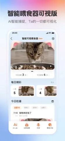 小佩宠物