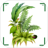 百度识万物app