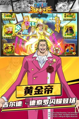 航海王强者之路国际服