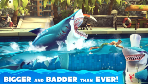 hungrysharkworld