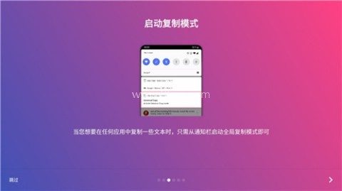 全局复制