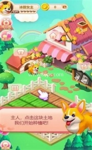 柴柴公园Doggy Park官方版