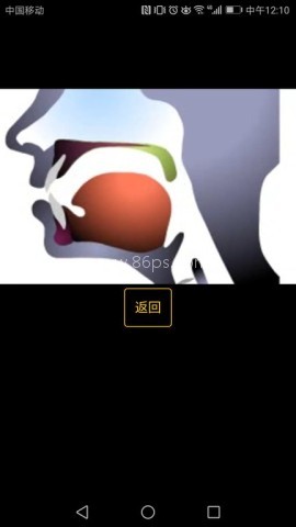 英语国际音标学习 英语国际音标学习