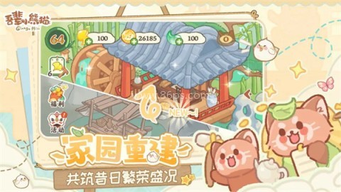 吾辈小熊猫