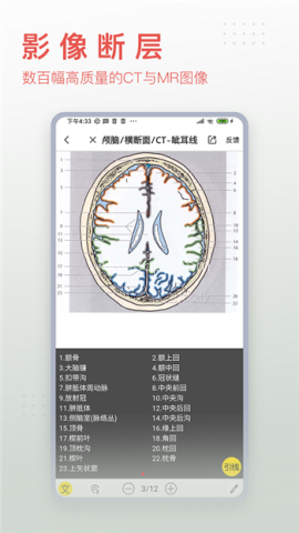 3Dbody解剖免费版 3Dbody解剖免费版