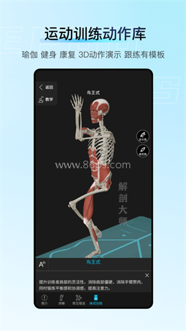 解剖大师