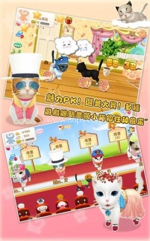 晴天小猫360