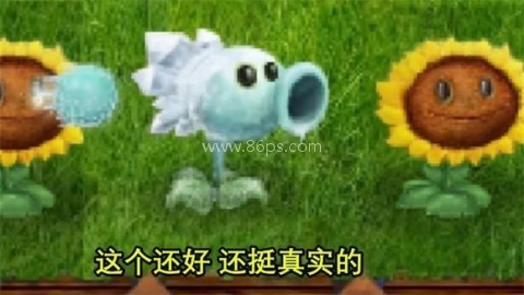 植物大战僵尸现实版