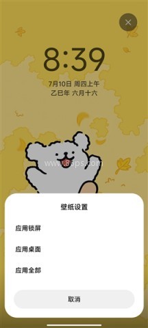 小米主题商店国内版 第4张图