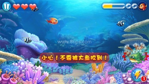 大鱼吃小鱼3夺宝大冒险