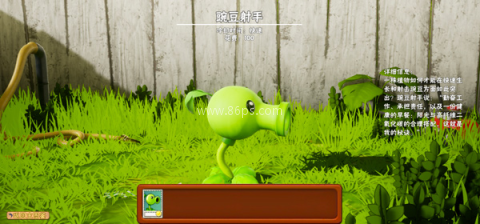 植物大战僵尸现实版 第1张图