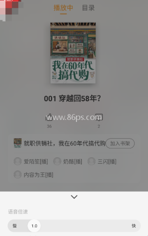 杏梅小说