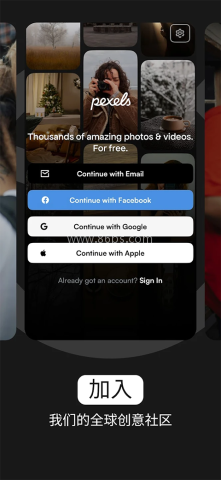 pexels免费素材网