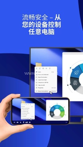 teamviewer8