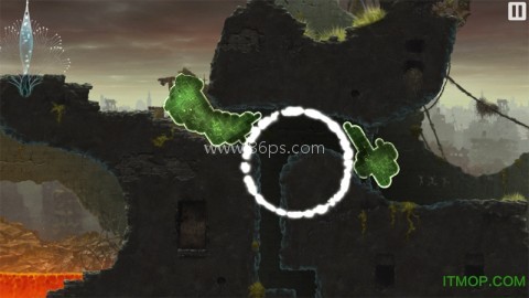 蘑菇11