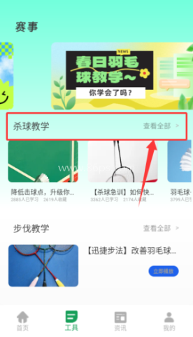 球搭子 第3张图