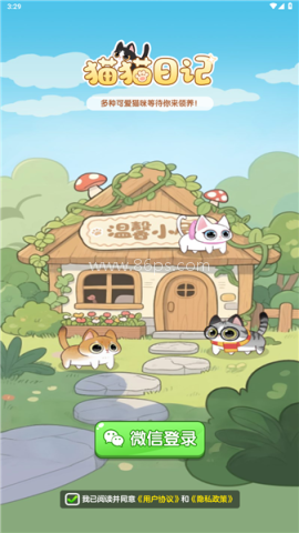 猫猫日记