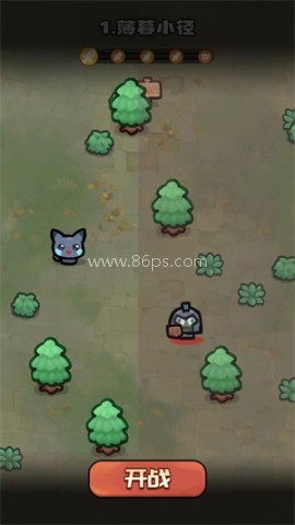 口袋乱斗