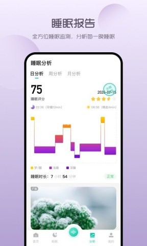 萤火虫睡眠 萤火虫睡眠