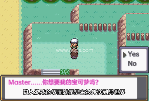 口袋妖怪心灵之金 第1张图