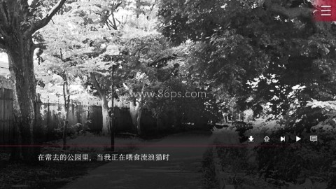 致命至爱交错狂想