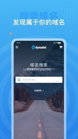 Dynadot域名解析