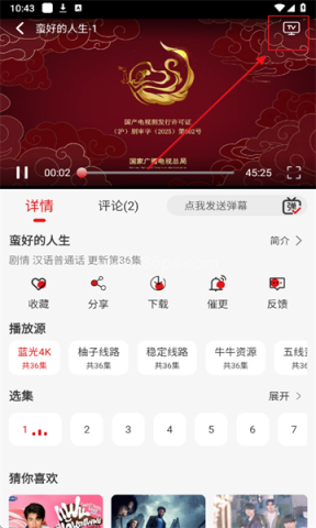 灵虎影视 灵虎影视