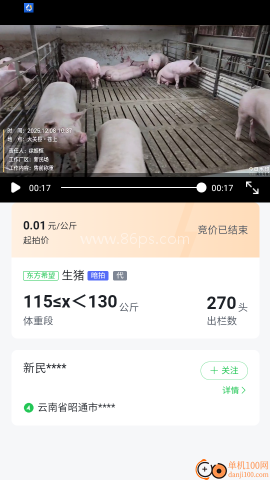 集鲜采猪