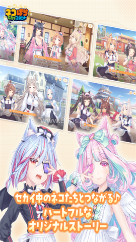 猫娘乐园世界连结