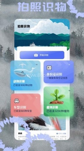 小马工具箱 小马工具箱