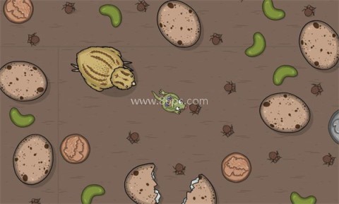 美味星球5