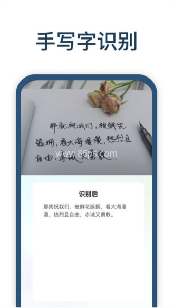 手写识别王