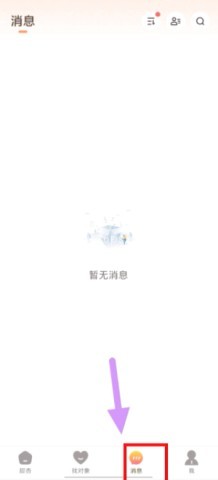 甜杏 第3张图