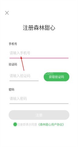 森林甜心 第4张图