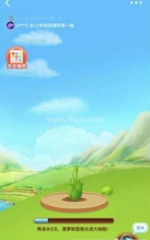 小美果园 第3张图