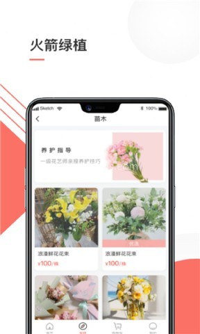 火箭绿植 火箭绿植