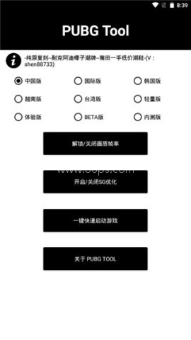 pubg国际服辅助器 第2张图