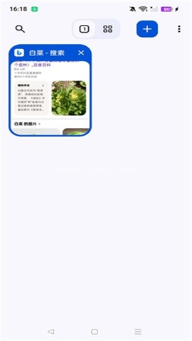 Cromite浏览器 Cromite浏览器
