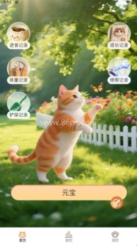 小猫陪伴手册 第2张图