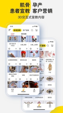 3Dbody解剖