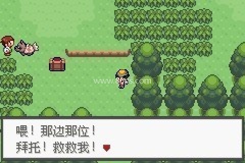 口袋妖怪极光石