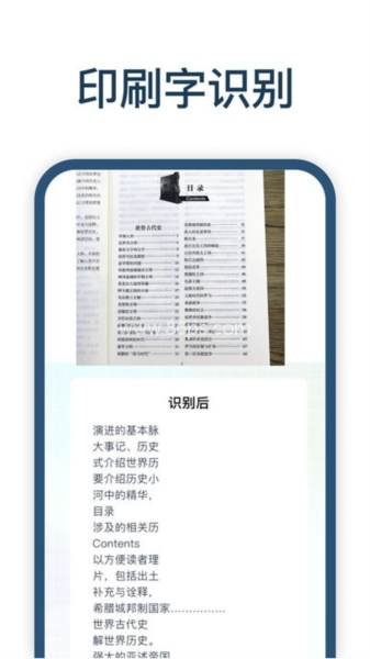 手写识别王