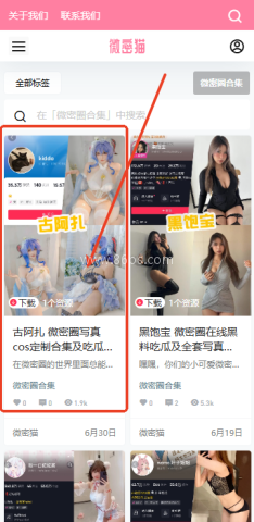 微密猫wemimao软件资源选择界面 微密猫 第1张图