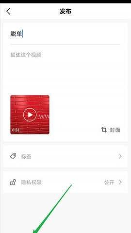 VN 视频剪辑