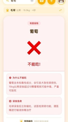 狗狗能吃 狗狗能吃